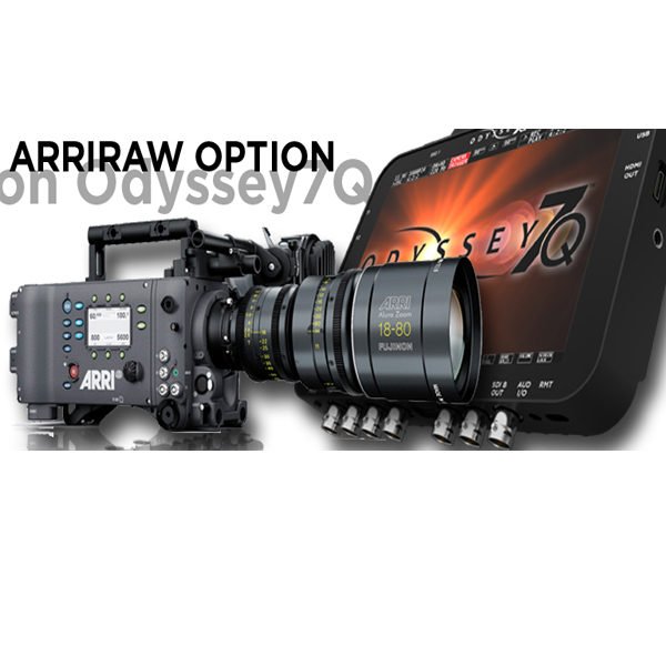 Arriraw Option for Odyssey 7Q Rental