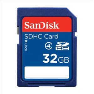 Sandisk 32GB SD Card Rental