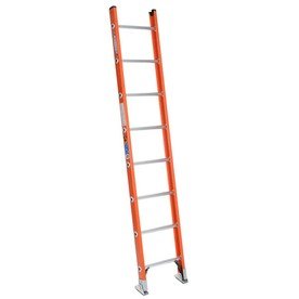 Werner 8 Foot Ladder